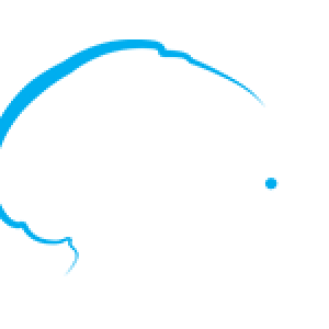 logo-smartvertise